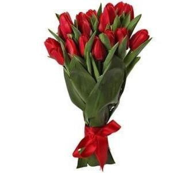 Red Tulip Flowers