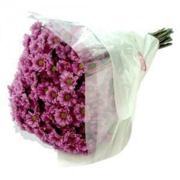 Daisy Flower Delivery Best Online Florist in Indonesia Flower Chim