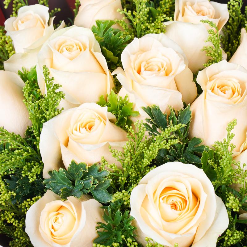 Champagne roses
