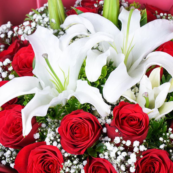 Sweetheart_002_600x.jpg?v=