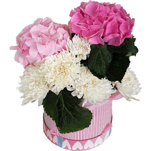 Chimps Hat Box Flowers_Box