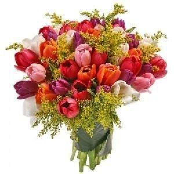 Bouquet of Tulip Flowers